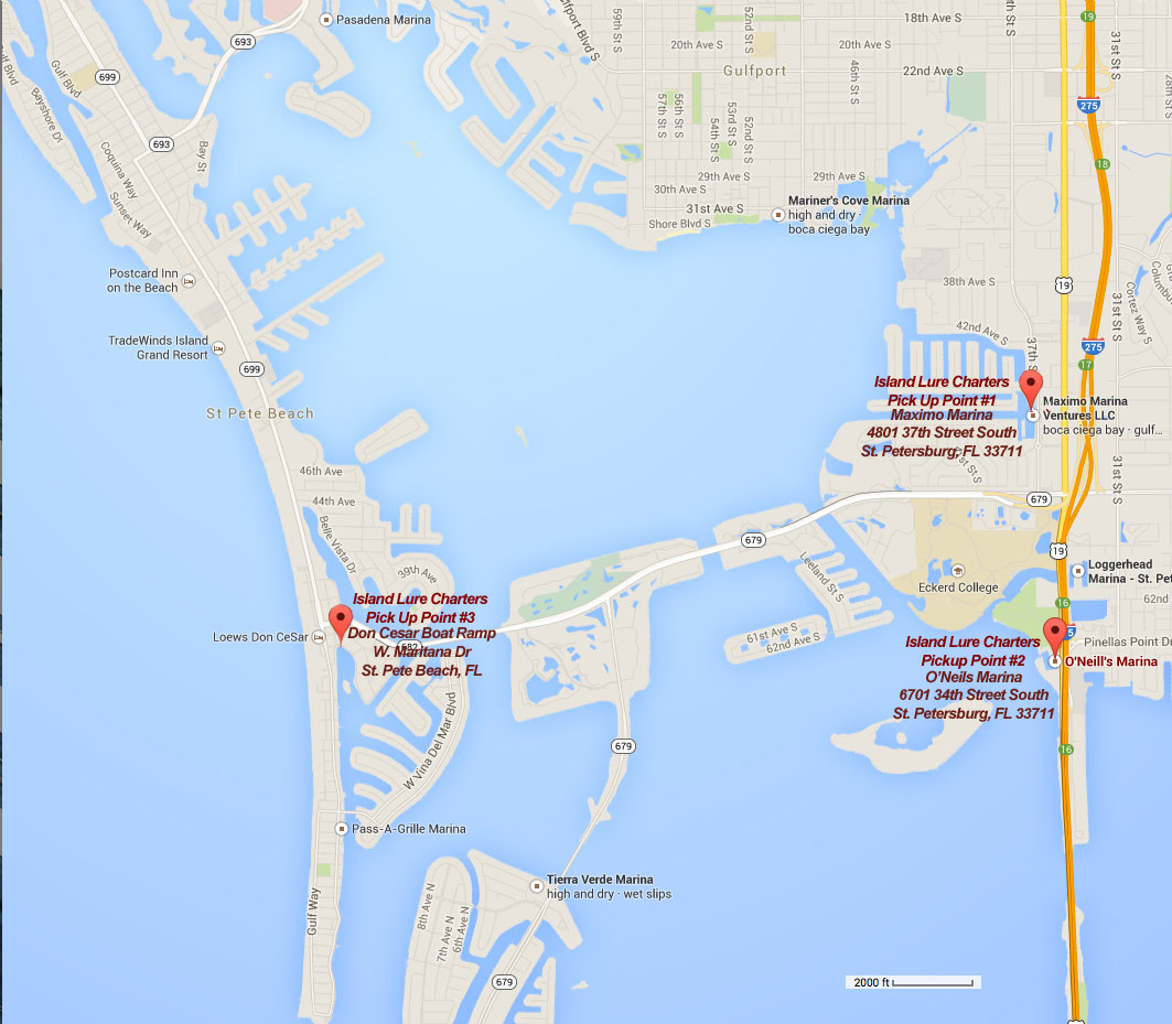 Tampa Bay Fishing Charters - Inshore Fishing Charters on the Flats of ...