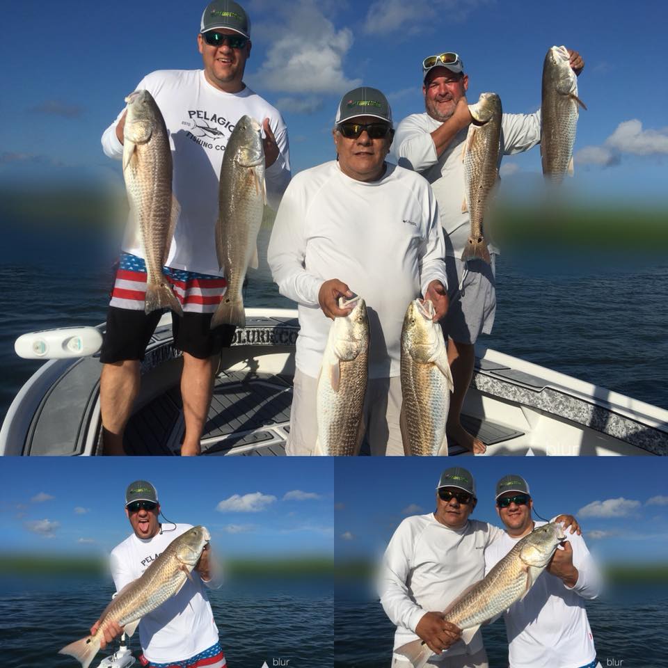 Tampa Bay Inshore Redfish Action Fishing Charters St Pete Beach